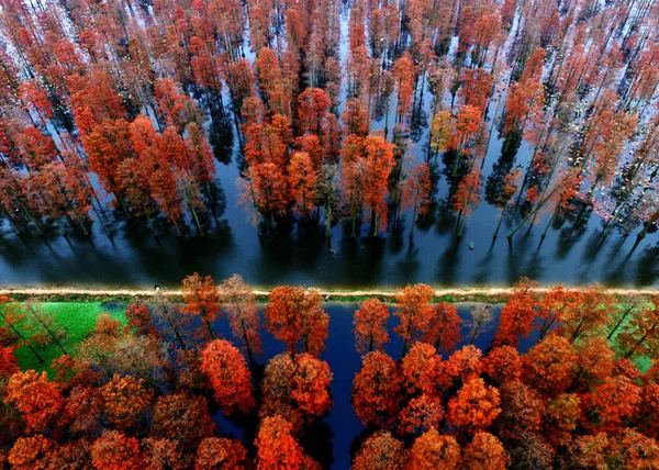 Вид Воздуха Озеро Чжанду Район Синьчжоу Город Ухань Провинция Хубэй — стоковое фото