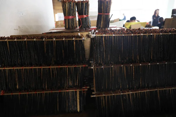 Centipedes Zijn Koop China Grootste Tcm Markt Anguo Traditionele Chinese — Stockfoto
