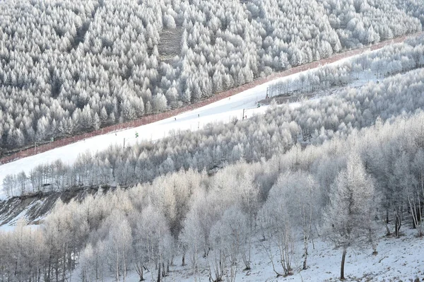 Landschaft Aus Reifbedeckten Bäumen Malerischen Ort Honghualiang Kreis Chongli Stadt — Stockfoto