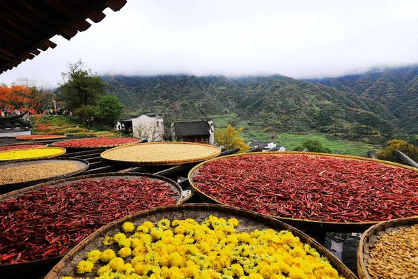 Chilischoten Mais Chrysanthemenblumen Und Andere Pflanzen Und Ernten Werden Auf — Stockfoto