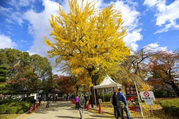 Bela Folhagem Outono Árvores Gingko Ácer Castelo Osaka Cidade Osaka — Fotografia de Stock