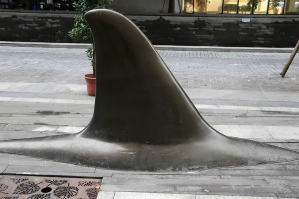Des Bornes Rue Ressemblant Des Ailerons Requin Sont Photographiées Chongqing — Photo