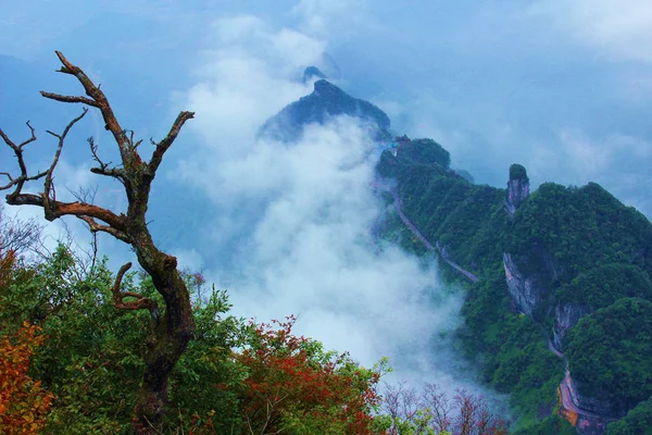 2018 日中国中央部湖南省張り家界市の秋の天門山 または Tianmenshan 張り家界国家森林公園の風景 — ストック写真