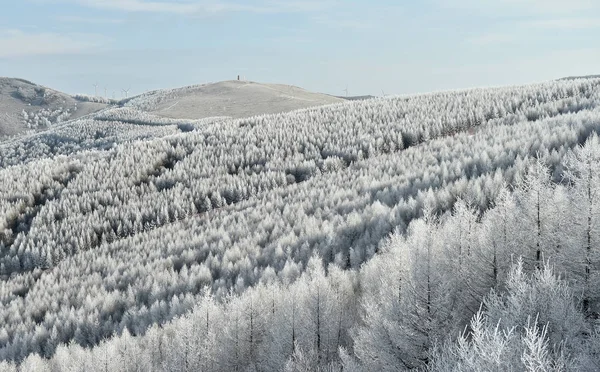 Landschap Van Rime Bedekte Bomen Unieke Plek Van Honghualiang Chongli — Stockfoto