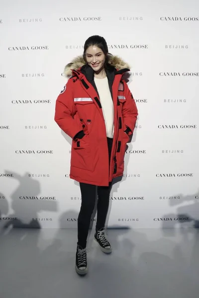 canada goose arctic program