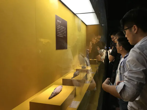 Cultural Relics Ancient Egypt Display Exhibition Hubei Provincial Museum Wuhan — Stock Photo, Image