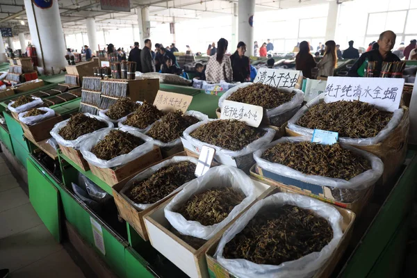 Πελάτες Ψωνίζουν Παραδοσιακά Κινέζικα Φάρμακα Tcm Στη Μεγαλύτερη Αγορά Tcm — Φωτογραφία Αρχείου