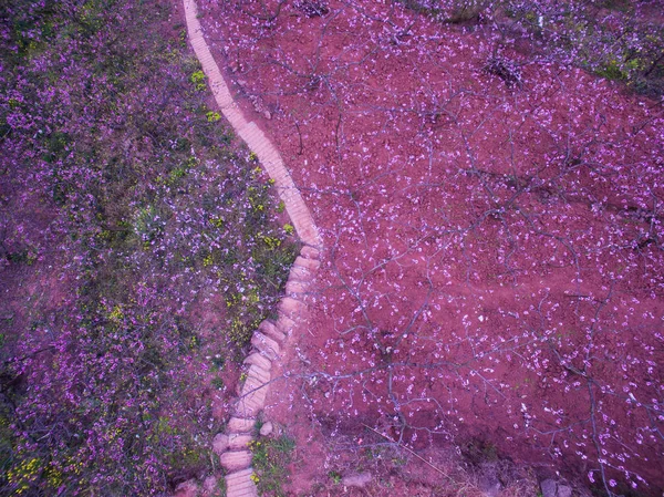 Vue Aérienne Parc Forestier Longquan Mountain City Dans Ville Chengdu — Photo