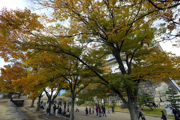 Bela Folhagem Outono Árvores Gingko Ácer Castelo Osaka Cidade Osaka — Fotografia de Stock