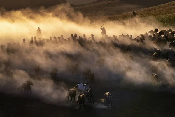 Kazah Pásztor Horzsolások Egy Nyáj Vágtató Lovak Legelő Hexigten Banner — Stock Fotó