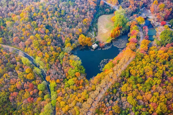 2018 日中国東部の江蘇省南京市の中山公園の風光明媚なスポットで葉のカラフルな秋の空からの眺め — ストック写真