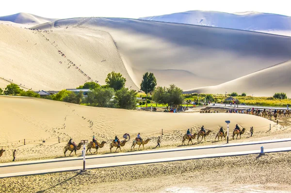 Tourists Ride Camels Gobi Desert Crescent Moon Lake Yueyaquan Singing — Stock Photo, Image