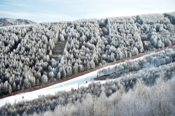 Paisaje Árboles Cubiertos Rimas Lugar Escénico Honghualiang Condado Chongli Ciudad — Foto de Stock