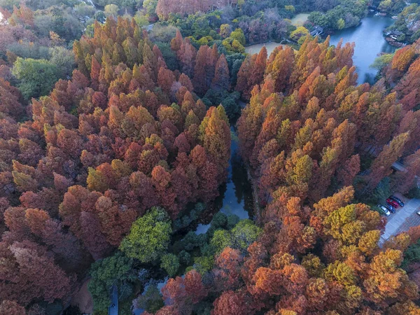 Krajobraz West Lake Scenic Spot Jesienią Mieście Hangzhou Wschodnia Chiny — Zdjęcie stockowe