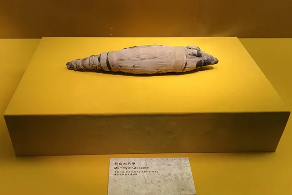 Relikty Kultury Starożytnego Egiptu Wyświetlaczu Podczas Wystawy Muzeum Prowincji Hubei — Zdjęcie stockowe
