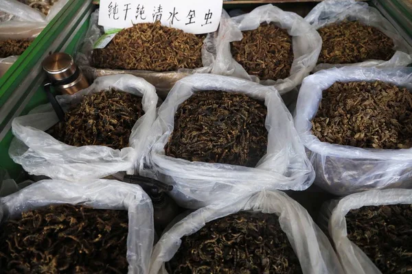 貴重な伝統的な漢方薬は 中国最大のTcm市場 安国伝統的な中国医学市場 安国市 Baoding市 中国北部の河北省で販売されています 2018年10月22日 — ストック写真