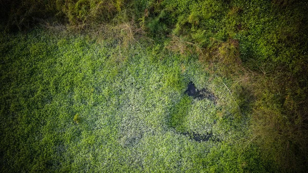 Widok Lotu Ptaka Rzeki Zhupaichong Zanieczyszczone Przez Brudną Wodę Których — Zdjęcie stockowe