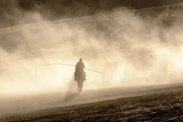 Kazakh Herdsman Grazes Flock Galloping Horses Grassland Hexigten Banner Chifeng — Stock Photo, Image