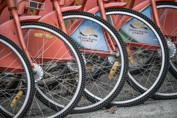 Fahrräder Des Öffentlichen Fahrradverleihs Stehen Auf Einem Freigelände Der Stadt — Stockfoto