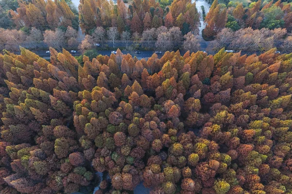 Krajobraz West Lake Scenic Spot Jesienią Mieście Hangzhou Wschodnia Chiny — Zdjęcie stockowe