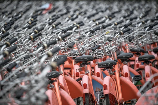 Las Bicicletas Servicio Público Alquiler Bicicletas Alinean Espacio Abierto Ciudad —  Fotos de Stock