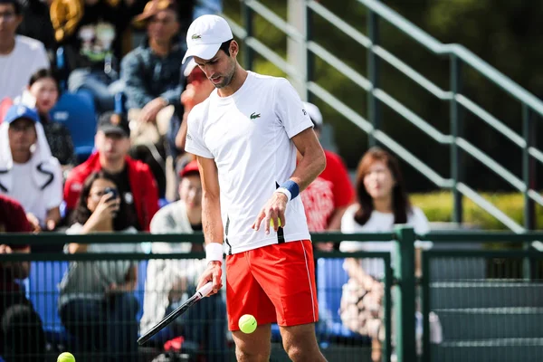 Tenista Serbio Novak Djokovic Participa Una Sesión Entrenamiento Con Tenista — Foto de Stock