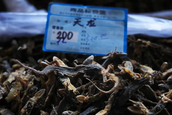 ヤモリは 中国最大のTcm市場 アングオ伝統的な中国医学市場 安国市 Baoding市 中国北部の河北省 2018年10月22日に販売されています — ストック写真
