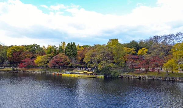 Das Schöne Herbstliche Laub Von Gingkobäumen Und Ahornbäumen Der Osaka — Stockfoto