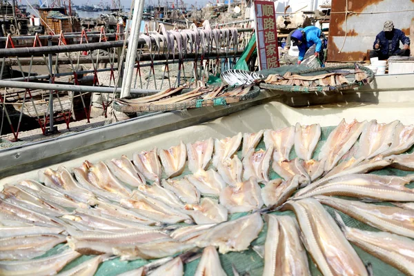Místní Žena Vysušuje Ryby Aby Vydělala Sušené Rybí Filé Přístavu — Stock fotografie