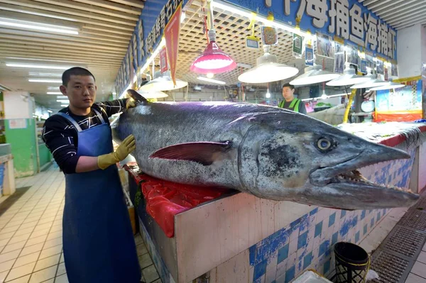 Pez Cerval Chino Gigante Está Venta Mercado Mariscos Ciudad Qingdao —  Fotos de Stock