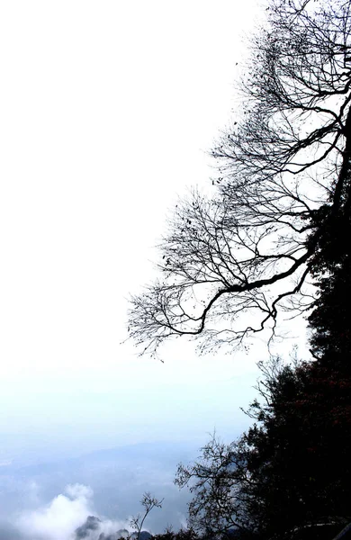 Krajobraz Tianmen Mountain Lub Góry Tianmenshan Zhangjiajie National Forest Park — Zdjęcie stockowe