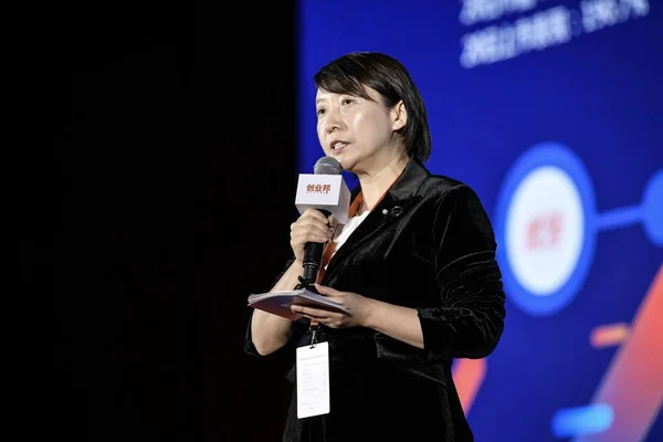 Мэри Нан Ликсин Основатель Генеральный Директор Cyzone Выступает Время China — стоковое фото