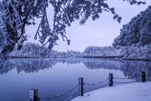 Paysage Verdure Couverte Rime Mer Nuageuse Dessus Mont Après Une — Photo