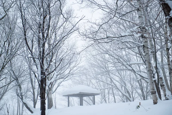 Декорації Snowscape Отару Сірібесі Субпрефектура Хоккайдо Японія Грудня 2018 — стокове фото