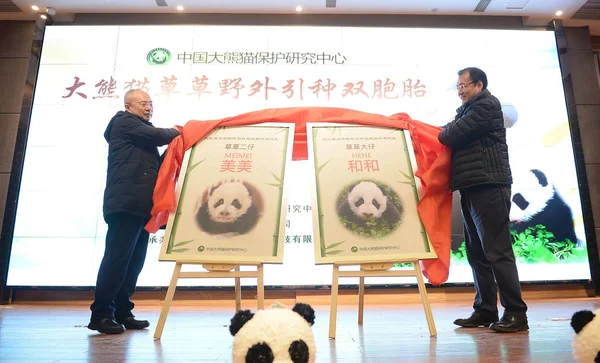 Widok Ceremonii Nazewnictwa Dla Mężczyzn Kobiet Panda Bliźniaków Mei Mei — Zdjęcie stockowe