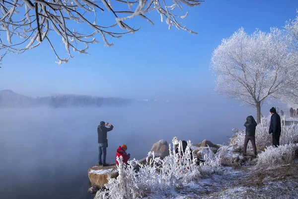 Landschap Van Rime Bedekte Bomen Ashihada Jilin Stad Noordoostelijke China — Stockfoto