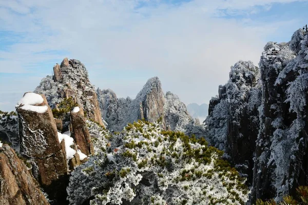 Paisaje Árboles Cubiertos Nieve Lugar Escénico Montaña Huangshan Ciudad Huangshan — Foto de Stock