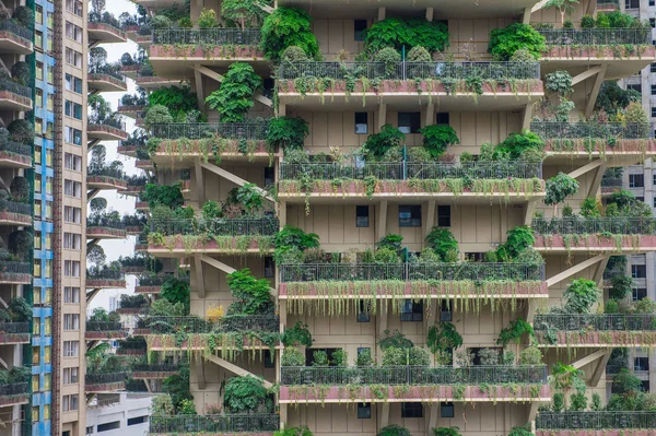 Les Balcons Des Bâtiments Résidentiels Nouvellement Construits Sont Décorés Plantes — Photo