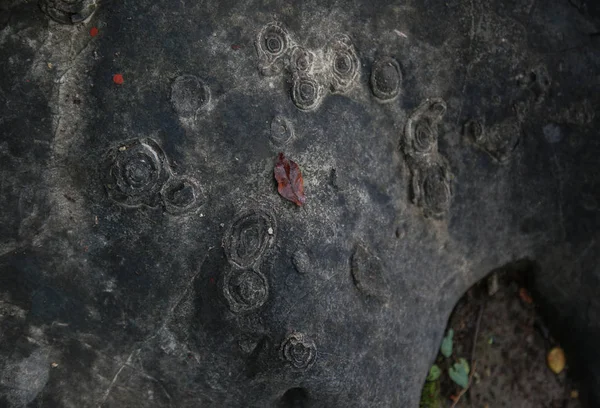 Las Flores Piedra Que Son Nódulos Cerezos Florecen Montaña Changshou —  Fotos de Stock