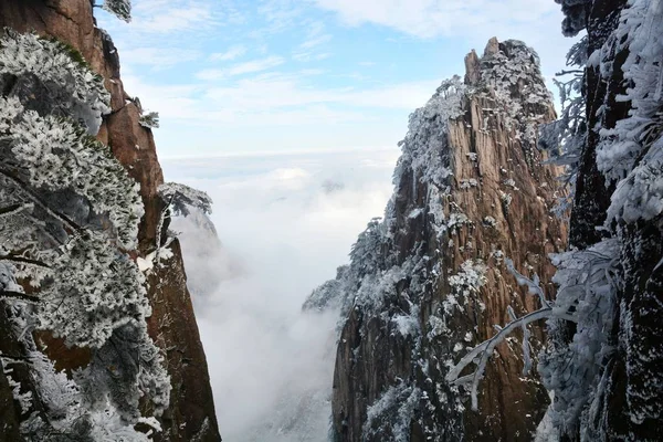 Pejzaż Pokryte Śniegiem Drzew Huangshan Mountain Malowniczym Miejscu Huangshan City — Zdjęcie stockowe