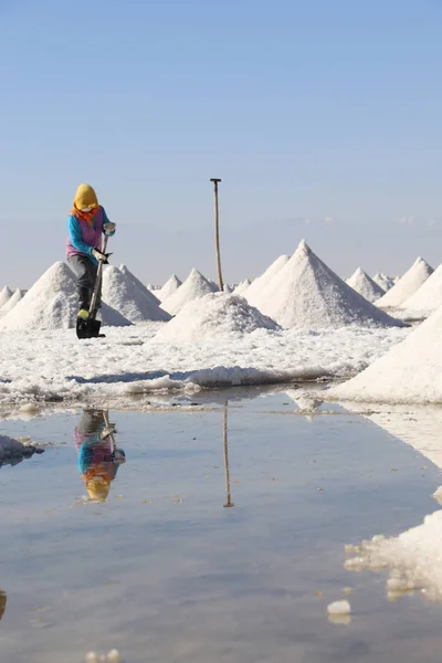 Trabalhador Colhe Sal Bruto Aldeia Yanchi Condado Gaotai Cidade Zhangye — Fotografia de Stock