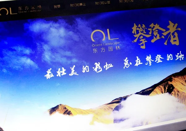 Ein Chinesischer Netizen Blättert Auf Der Website Von Orient Landscape — Stockfoto