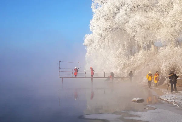 Landschaft Aus Reifbedeckten Bäumen Ashihada Stadt Jilin Provinz Jilin Nordosten — Stockfoto