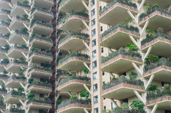 Balkons Van Nieuw Gebouwde Residentiële Gebouwen Zijn Versierd Met Groene — Stockfoto