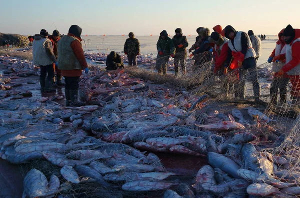 Residentes Locais Colhem Peixes Durante Temporada Pesca Inverno Antes Chagan — Fotografia de Stock