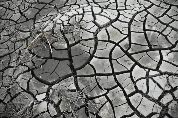 Vista Del Lecho Del Río Agrietado Quemado Por Las Olas —  Fotos de Stock