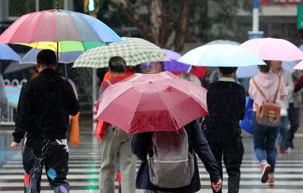 Los Viajeros Que Protegen Con Paraguas Caminan Por Una Carretera — Foto de Stock