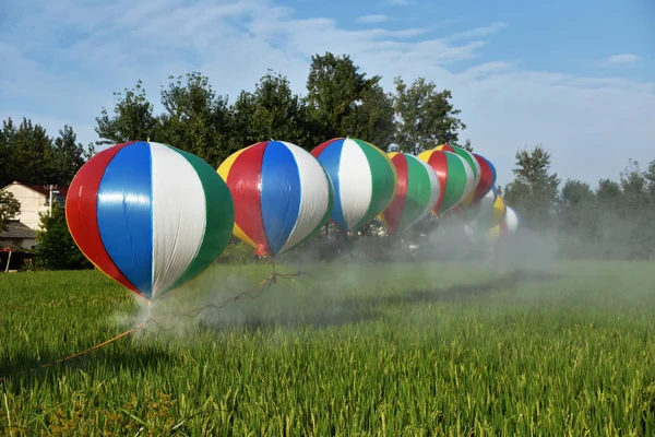 Kínai Mezőgazdasági Termelő Wang Shanjun Spray Peszticidek Növények Permetezőgépek Felfüggesztette — Stock Fotó