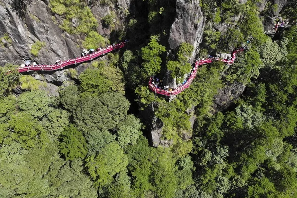 Los Comensales Disfrutan Del Paisaje Las Delicias Banquete Celebrado Largo —  Fotos de Stock