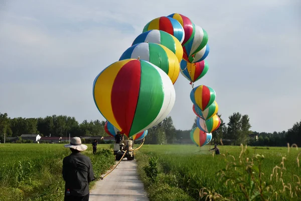 Agriculteur Chinois Wang Shanjun Pulvérise Des Pesticides Sur Les Cultures — Photo